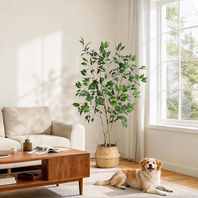 5FT Ficus Trees Artificial Indoor, Faux Silk Plant with Natural Wood Trunk and Lifelike Fruits, Black Imitation Ceramic Planter with Green Fake Moss for Modern Home Office Living Room Decor
