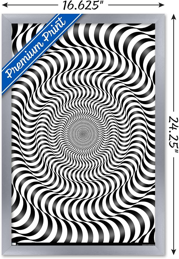 Trends International Zebra Stripe Optical Illusion Wall Poster, 14.725" x 22.375", Silver Framed Version