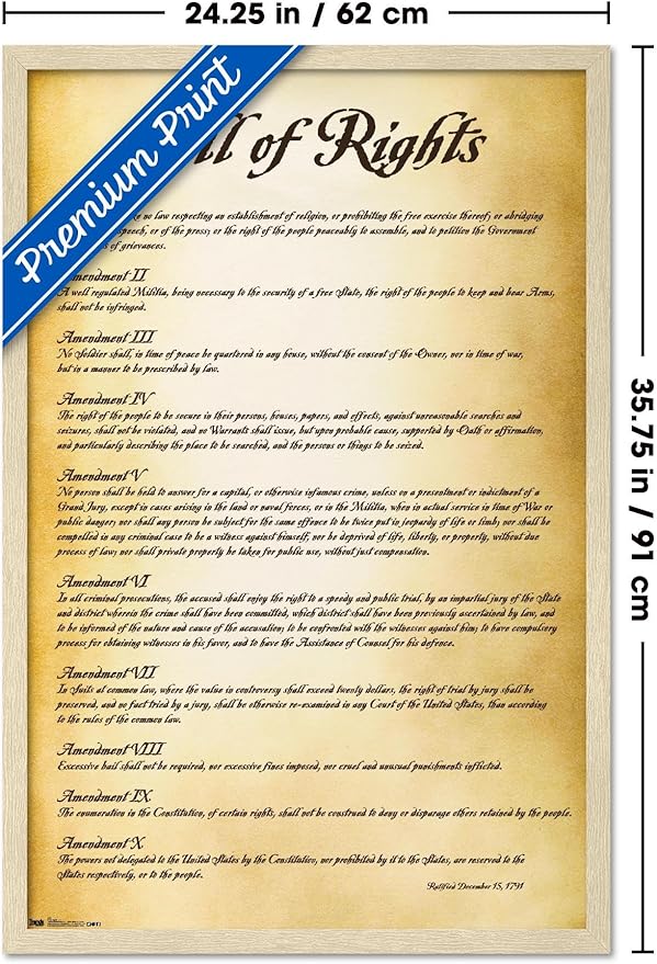Trends International The United States of America - Bill of Rights Wall Poster, 34L x 22.4W, Blonde Framed Version