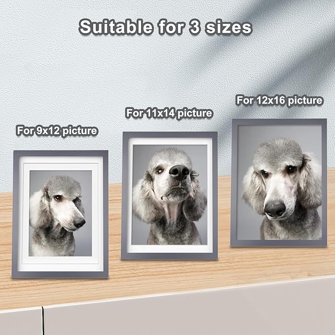 Egofine 12x16 Picture Frames with Plexiglass, Display Pictures 9x12/11x14 with Mat or 12x16 Without Mat for Wall Mounting,Dark Grey