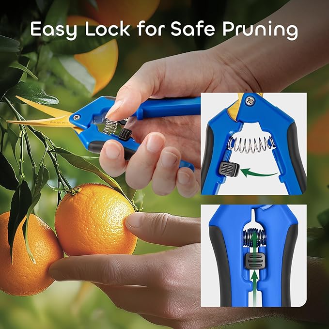 GROWNEER 6 Packs 6.5 Inch Pruning Shears with Curved Blades Trimming Scissors For Gardening Hand Pruning Snips Titanium Coated Precision Blades