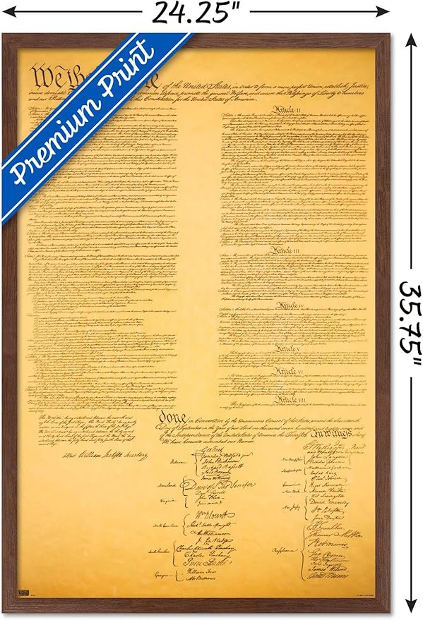 Trends International The Constitution Wall Poster, 22.375" x 34", Mahogany Framed Version