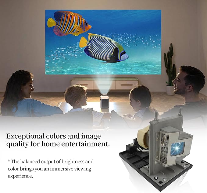 SORNEICDR 20-01175-20 A+ Quality Replacement Projector Lamp Bulb Compatible with Smart Board 680ix 685ix 885i 885ix UX60, with Housing