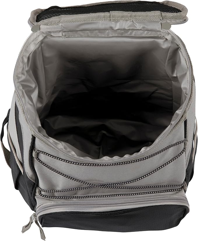 Picnic TIME Disney Snow White Evil Queen Backpack Cooler, Insulated Leakproof Soft Cooler Backpack, Waterproof Lunch Bag, Portable Hiking Ice Chest for Beach, Picnic, Camping & Travel (Black Gray)