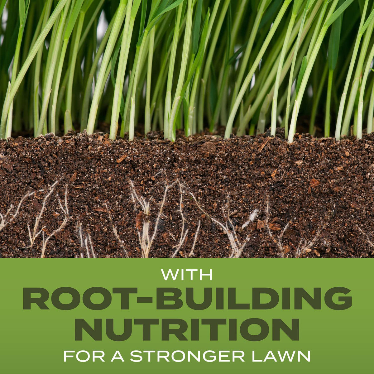 Scotts Turf Builder Grass Seed Tall Fescue Mix, 32 lbs.
