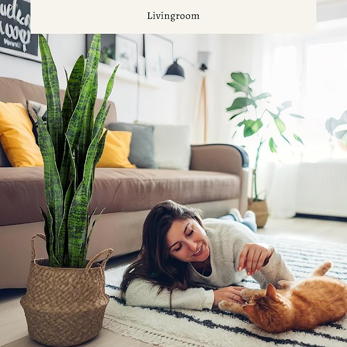 KOL 3ft 2-Pack Artificial Snake Plant - 32 Thick Lifelike Leaves, Faux Silk Sansevieria for Indoor Home & Garden Decor, 35in Potted Fake Mother-in-Law's Tongue Plants, Green