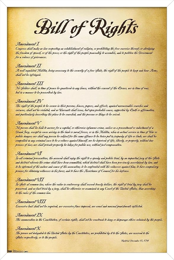 Trends International The United States of America - Bill of Rights Wall Poster, 22.375" x 34", White Framed Version