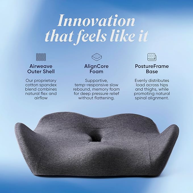 OneCushion Advanced Ergonomic Seat Cushion for Office Chair with Firm AlignCore Foam for All-Day Comfort, Posture Support & Pressure Relief for Work or Home Use - Sky Blue