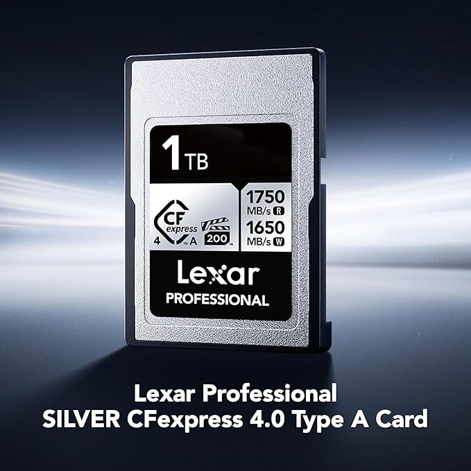 Lexar 512GB Professional CFexpress Type A Silver 4.0 Memory Card, for Photographers, Videographers, Up to max 1750/1650 MB/s, 8K Video (LCAEXS4512G-RNENU)
