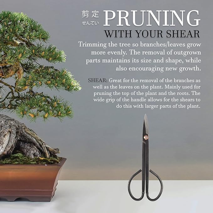 BambooMN 7.2" Black Bonsai Trimming Shear - 10 Pieces