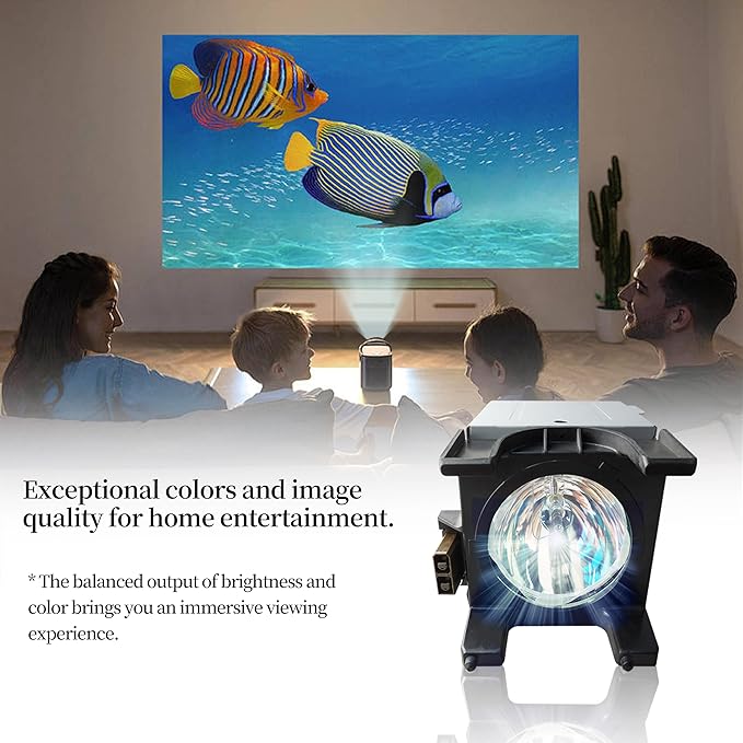 SORNEICDR Y196-LMP Replacement Projector Lamp Bulb Compatible with Toshiba 62MX196 72MX196 72HM196 62HM116 62HM196