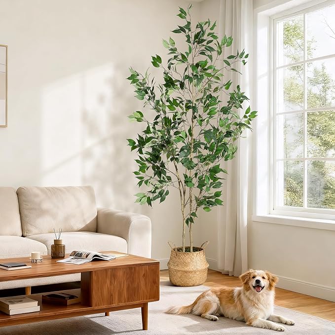 7FT Ficus Trees Artificial Indoor, Faux Silk Plant with Natural Wood Trunk and Lifelike Fruits, Black Imitation Ceramic Planter with Green Fake Moss for Modern Home Office Living Room Decor