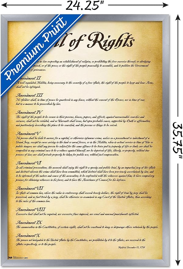 Trends International The United States of America - Bill of Rights Wall Poster, 22.375" x 34", Silver Framed Version