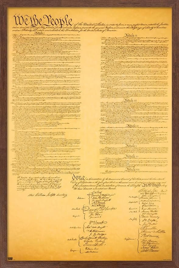 Trends International The Constitution Wall Poster, 14.725" x 22.375", Mahogany Framed Version