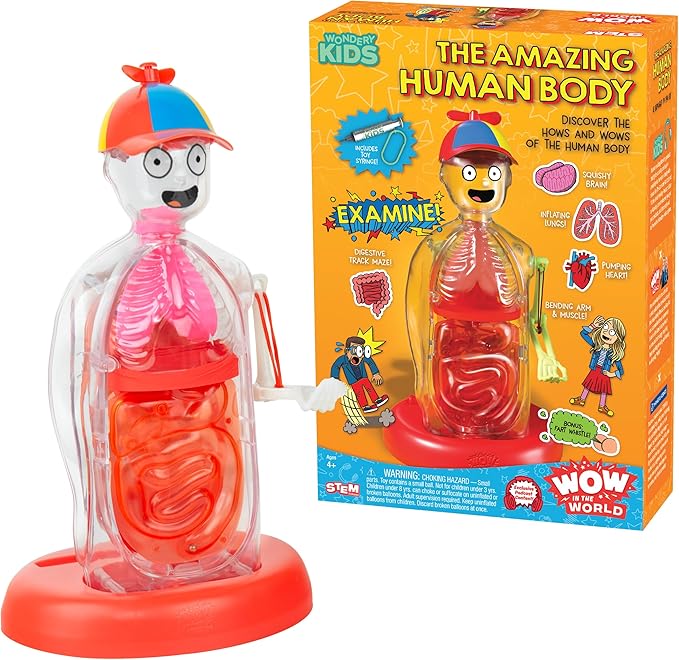 Wow in The World The Amazing Human Body Kit by Thames & Kosmos, Interactive Mechanical Anatomy Model w/Pumping Heart, Lungs, Digestive Tract, Glow-in-The-Dark Bones, Brain & More, Science for Ages 4+