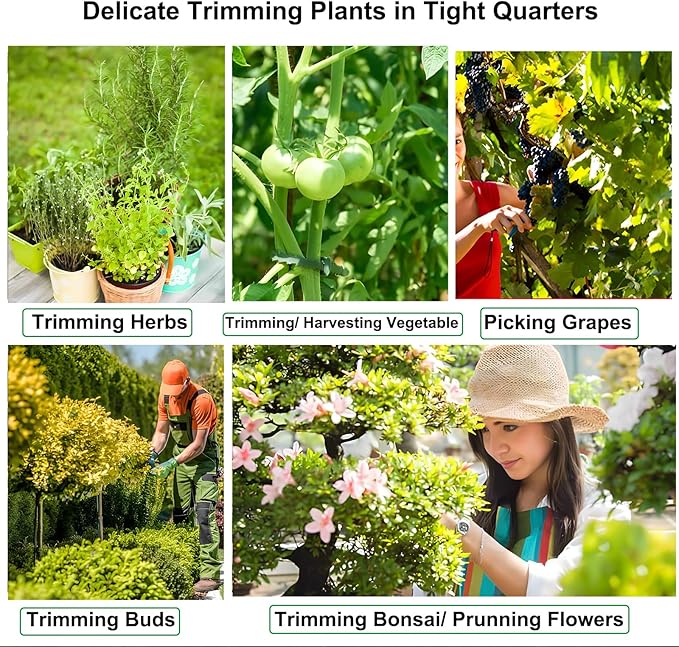 BEoffer 4 Pack Pruning Shears, 6.5 Inch Garden Scissors Gardening Hand Pruning Snips with Straight Stainless Steel Precision Blades for Gardening Flower Plant Precise Trimming and Pruning Maintenance