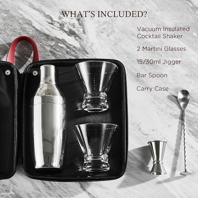 KITESSENSU Cocktail Shaker Set with to-Go Carry Case & 2 Martini Glasses