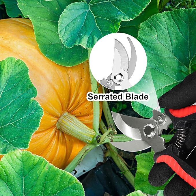 4 Pack Garden Shears Scissors,Pruning Shears, pruning shears for gardening Stainless Steel Blades, Gardening Clippers Hand Pruner With a Gardening Gloves((Red Yellow Blue Orange)