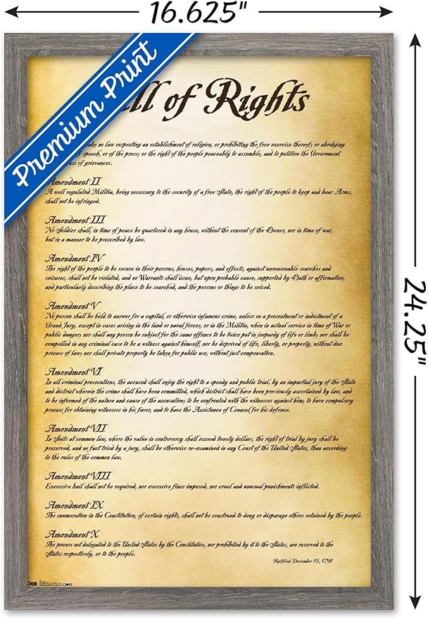 Trends International The United States of America - Bill of Rights Wall Poster, 14.725" x 22.375", Barnwood Framed Version