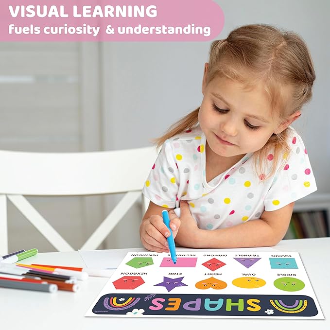 jackinthebox 20 Colorful Pre K Educational Posters for Toddlers - 12 x 17 inches Laminated, Homeschool Decorations, Preschool Posters, Classroom Posters, Easter Gift Learning Posters for Toddlers 1-3.