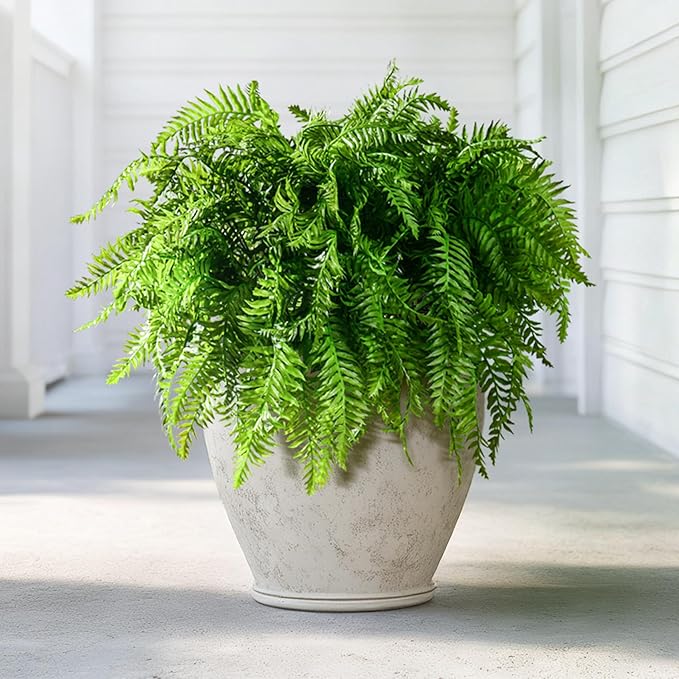 Artificial Fern Plants 10 Pcs Artificial Bush Fern Plants Realistic Fake Stems Plant Fake Shrubs Greenery for Indoor Outdoor Porch Patio Window Farmhouse Garden Office Decor (10 Pcs Green)