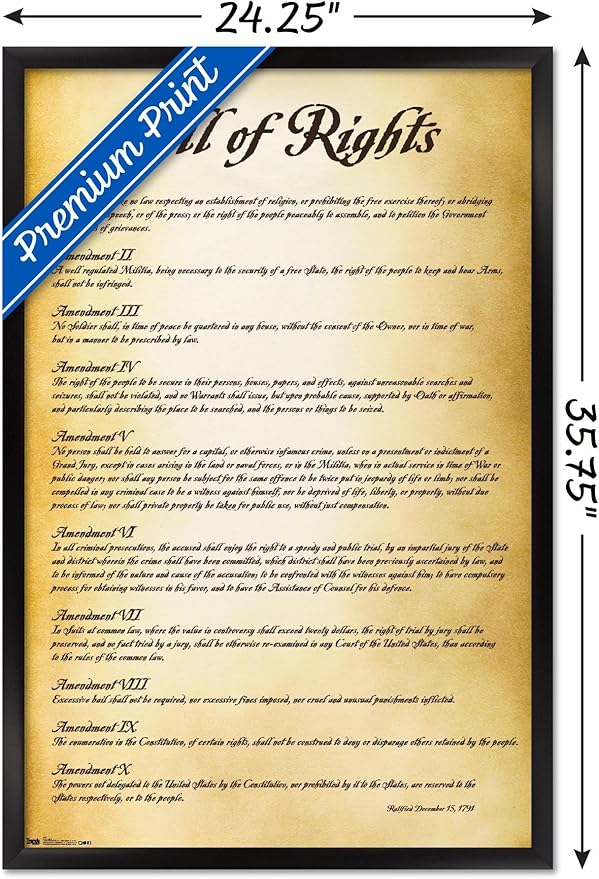 Trends International The United States of America - Bill of Rights Wall Poster, 22.375" x 34", Black Framed Version