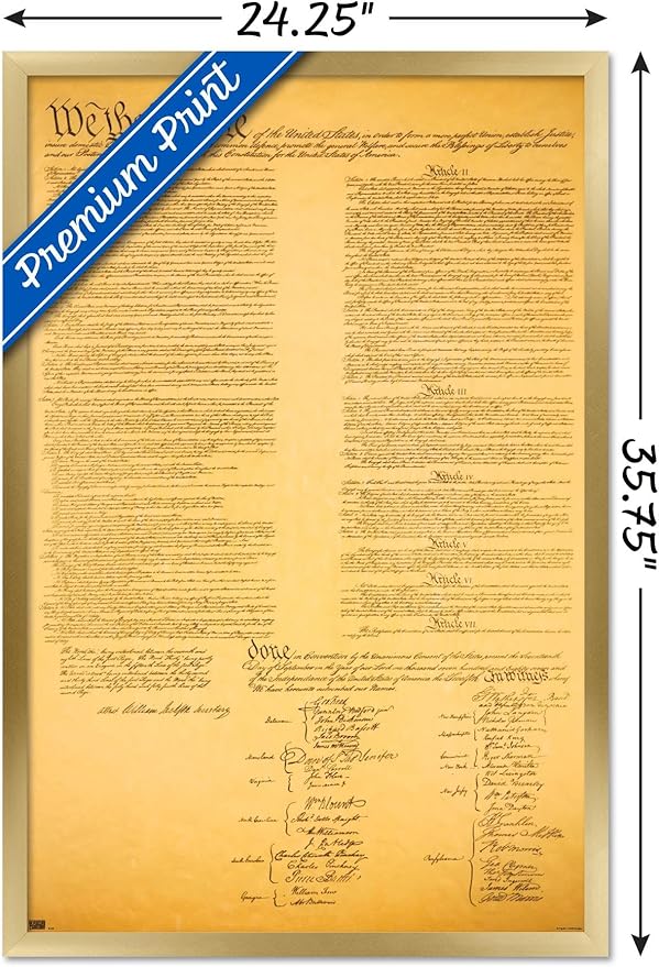 Trends International The Constitution Wall Poster, 22.375" x 34", Gold Framed Version