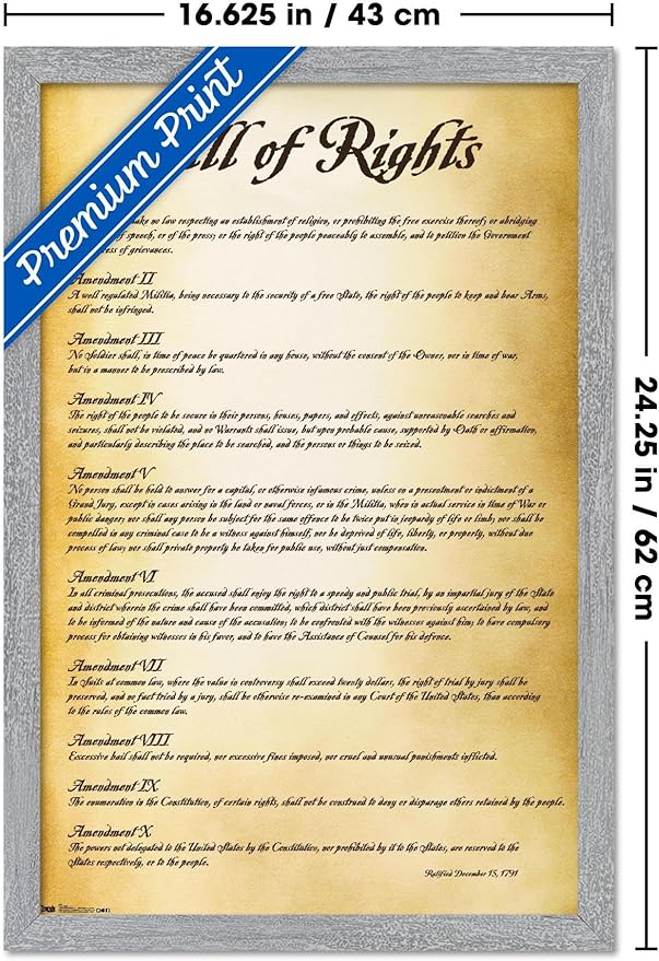 Trends International The United States of America - Bill of Rights Wall Poster, 22.4L x 14.7W, Gray Framed Version