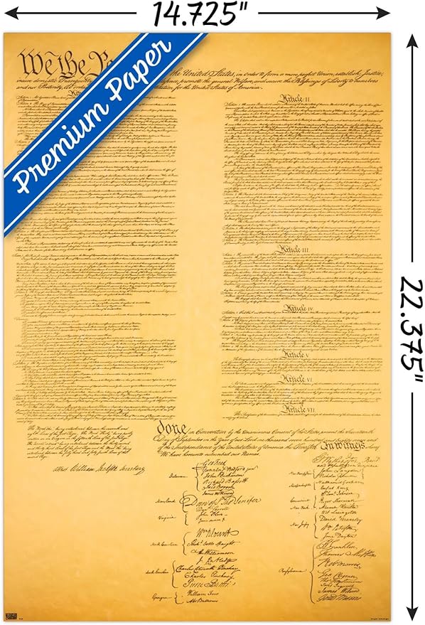 Trends International The Constitution Wall Poster, 14.725" x 22.375", Premium Poster & Mount Bundle