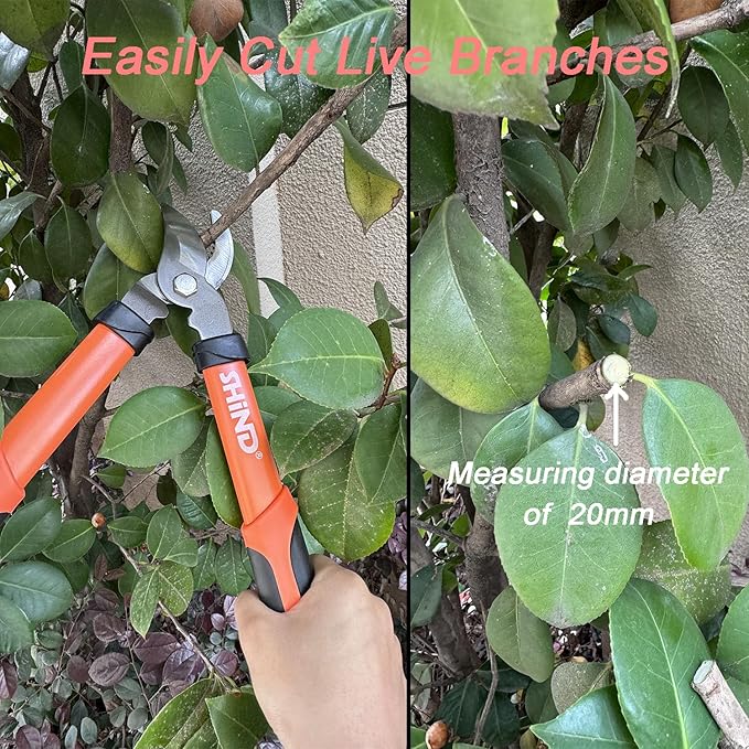 SHIND Lopper Heavy Duty Branch Cutter Tree Clippers with Compound Action, Chops Thick Branch Ease, Garden Loppers Pruning, 15 Inch Tree Trimmer with 1.6” Clean Cut Capacity (15 Inch）