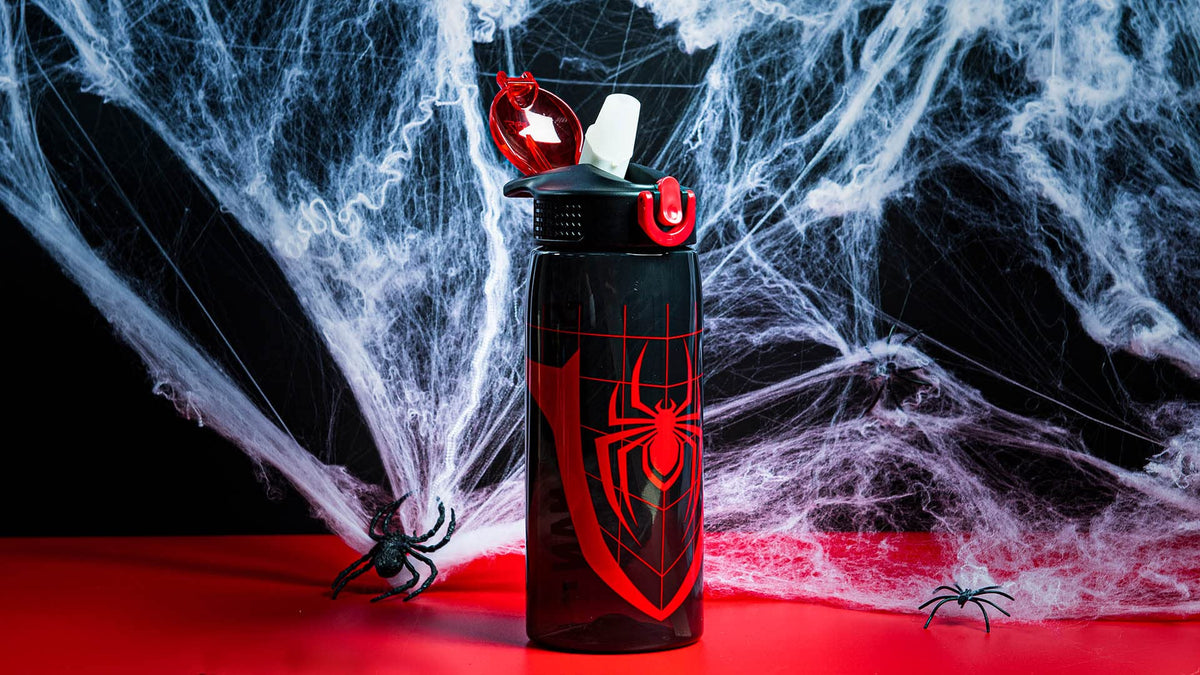 Zak Designs Spider-Man 25oz Leak-Proof Straw Kids Water Bottle, Plastic