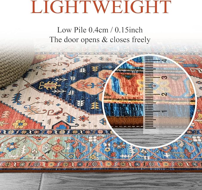 Lahome Boho Rugs for Living Room - 4x6 Area Rug Machine Washable Bedroom Rugs Non-Slip Low-Pile Entryway Carpet Throw Oriental Distressed Kitchen Indoor Floor Carpet for Dining Room Bathroom Office