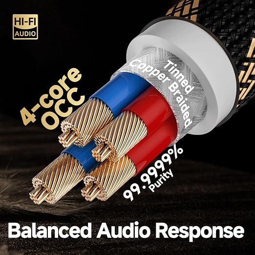 TODN Audiophile USB A to USB B Cable OCC Silver Plated USB Audio Cable HiFi 3.0 USB A to B Cable for DAC Sound Card Digital Piano Mixer Amplifier &amp Printer (9.8FT/3M)