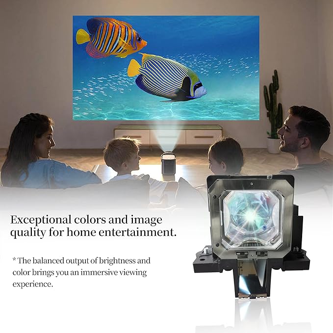 SORNEICDR PK-L2210UP PK-L2210U Replacement Projector Lamp Bulb Compatible with JVC DLA-RS45U DLA-RS45 DLA-RS55 DLA-RS30 DLA-X30 DLA-X7 DLA-X3, with Housing