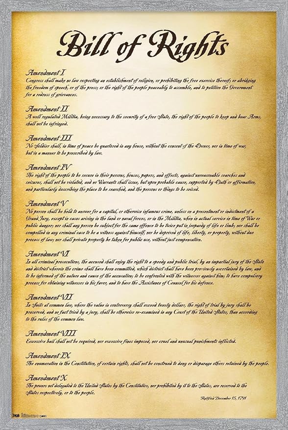 Trends International The United States of America - Bill of Rights Wall Poster, 22.4L x 14.7W, Gray Framed Version