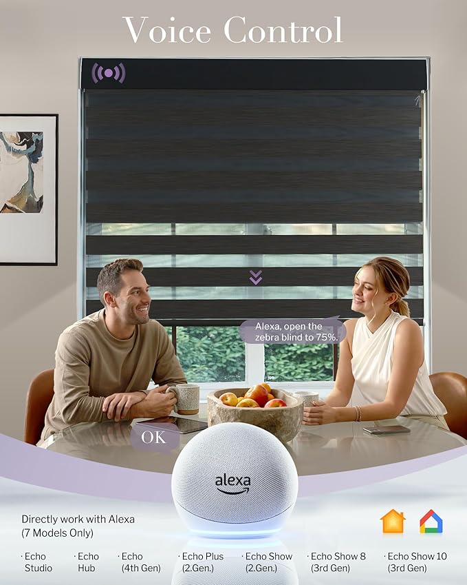 Graywind Smart Dual Shades Compatible with Alexa Google Homepod Motorized Double Zebra Blinds Matter Solar Powered, Custom Size (Black)