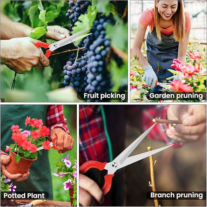 Extra Long Pruning Shears, Gardening Hand Pruners with Stainless Steel Blades, Garden scissors for Arranging Flowers, Trimming Plants, Harvesting Herbs, Fruits or Vegetables, 9.5IN