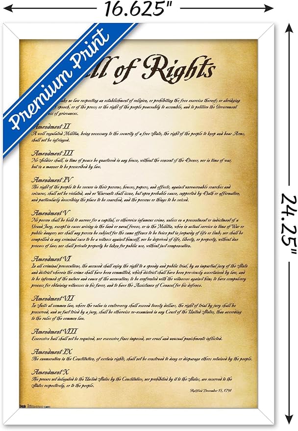 Trends International The United States of America - Bill of Rights Wall Poster, 14.725" x 22.375", White Framed Version