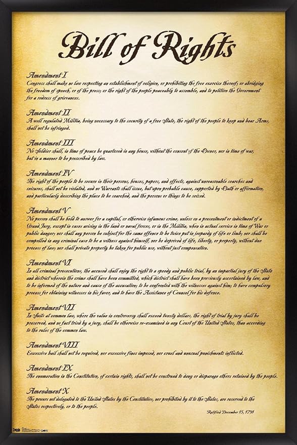 Trends International The United States of America - Bill of Rights Wall Poster, 14.725" x 22.375", Black Framed Version