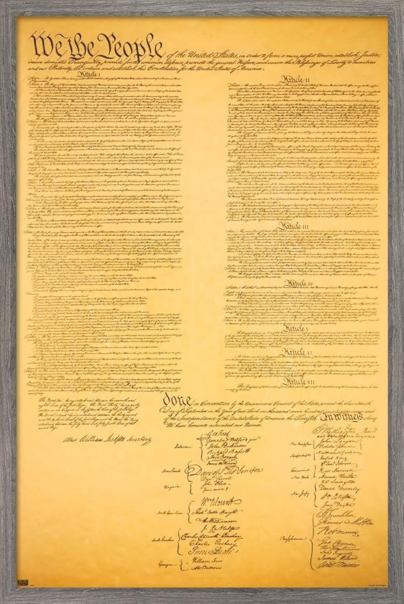 Trends International The Constitution Wall Poster, 22.375" x 34", Barnwood Framed Version