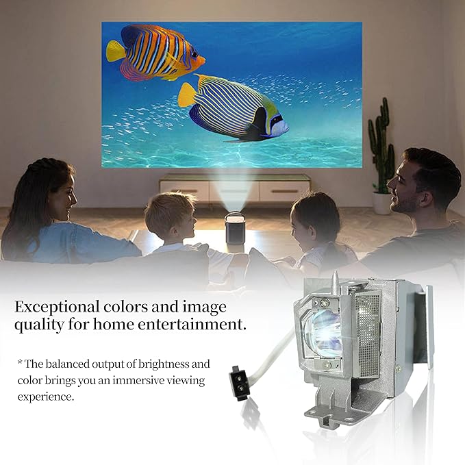 SORNEICDR Replacement Projector Lamp Bulb BL-FP195B/MC.JN811.001/SP-LAMP-091/SP-LAMP-097/SP.78H01GC01/BL-FP195A/SP.71P01GC01 Compatible with OPTOMA/ACER/INFOCUS GT1080DARBEE, DWX1521, H6517ABD, IN220
