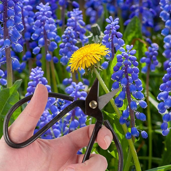 BambooMN 5.1" Heavy Duty Bonsai Forged Sharp Scissors - 3 Pieces
