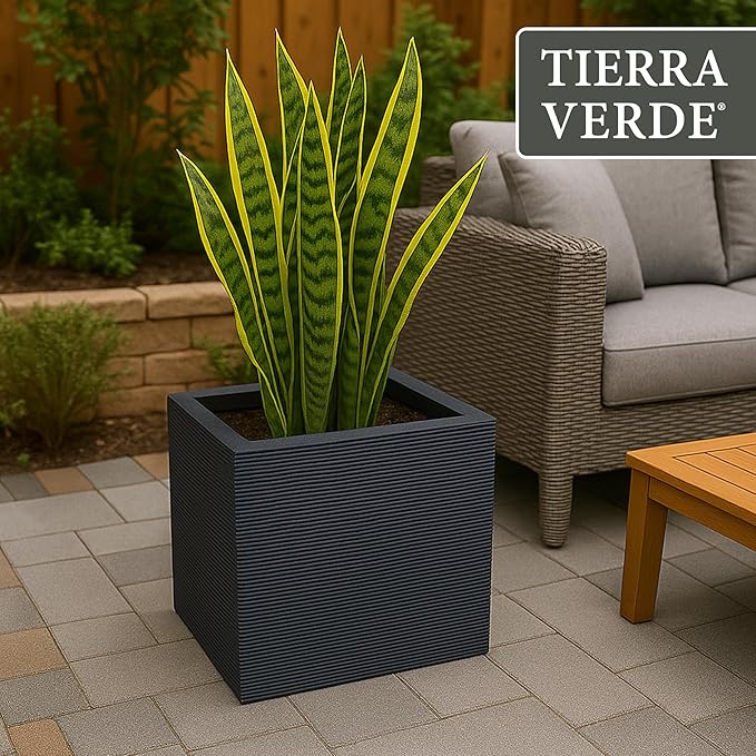 Tierra Verde Indoor & Outdoor Self-Watering Square Planter, Citadel Horizon, 13.5" x 14", Black - Planting Containers for Plants and Flowers - Gardening and Landscaping Accessories