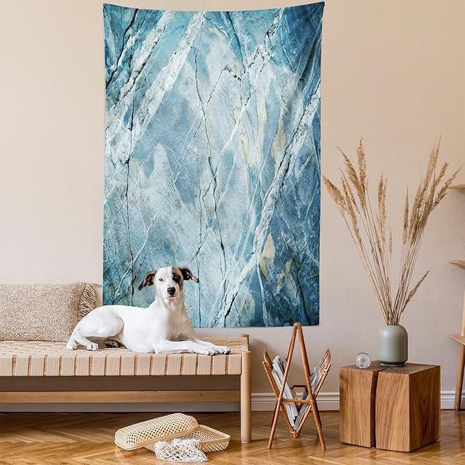 Ambesonne Marble Print Tapestry, Exquisite Granite Stone Architecture Floor Nature Faded Rock Picture, Fabric Wall Hanging Decor for Bedroom Living Room Dorm, 30" X 45", Pale Blue Grey