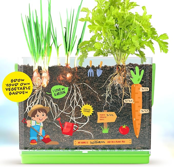 Dan&Darci Root Viewer Kit for Kids - Grow Your Own Plant for Boys & Girls Easter Gifts - Science STEM Toy & Craft Growing Kits for Ages 4-8 Birthday Gifts for Boy, Girl 4, 5, 6, 7, 8, Year Old