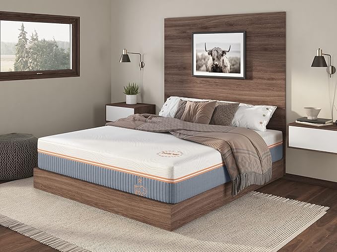 Nest & Wild Mattress Plush 12 Inch | Made in The USA | 100% Fiberglass-Free Cool Touch Cover | Ventilated Memory Foam | Bed in a Box | CertiPUR-US & OEKO-TEX100 Certified Foams (Queen)