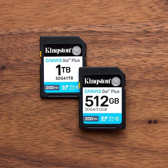 Kingston Canvas Go Plus 256GB SD Card | Up to 200MB/s | Class 10, UHS-I, U3, V30 | SDG4/256GB