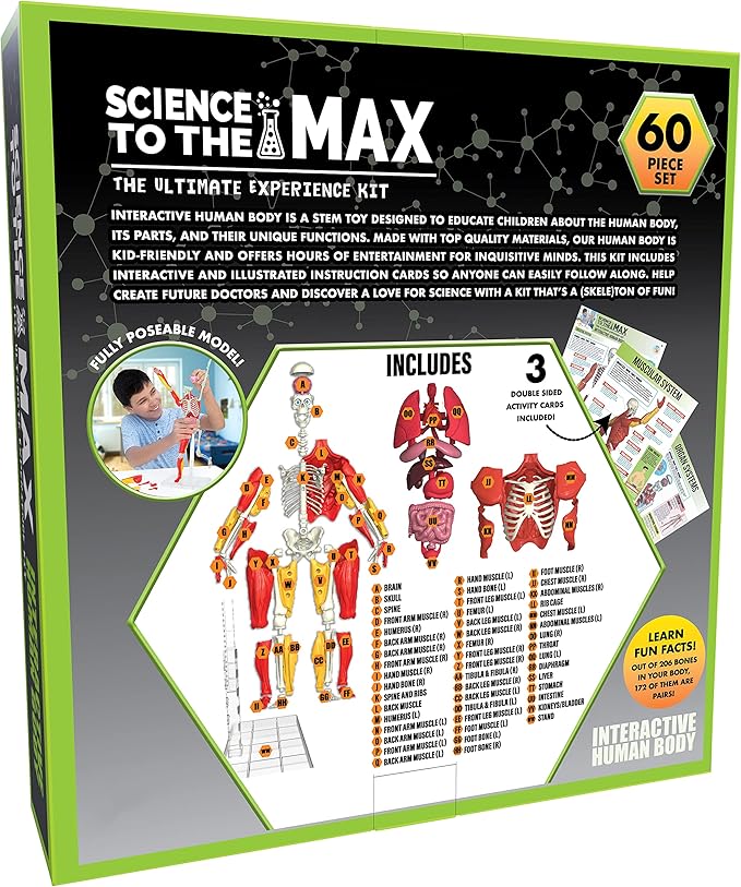 Be Amazing! Toys Interactive Human Body - 60 Piece Fully Poseable Anatomy Figure – 14” Tall Model - Anatomy Kit – Removable Muscles, Organs,Bones STEM Toy – Ages 8+