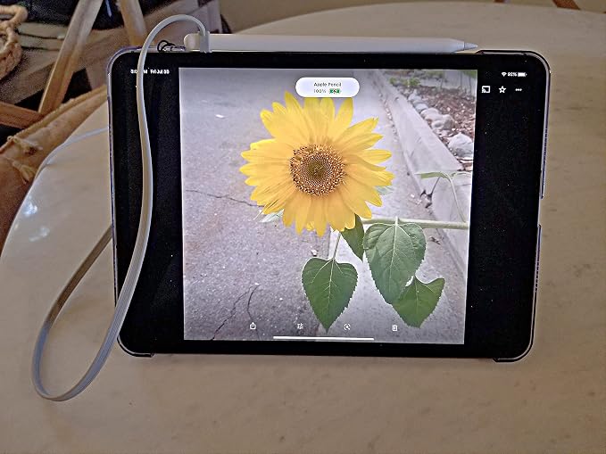 ZoopLoop Black Silicone Scratchproof 20.75in Tether for Digital Electronic Styluses (Diameter Range: 0.27-0.37in) - Secure Stylus to Tablet Case - Tablet Pencil Holder Accessory