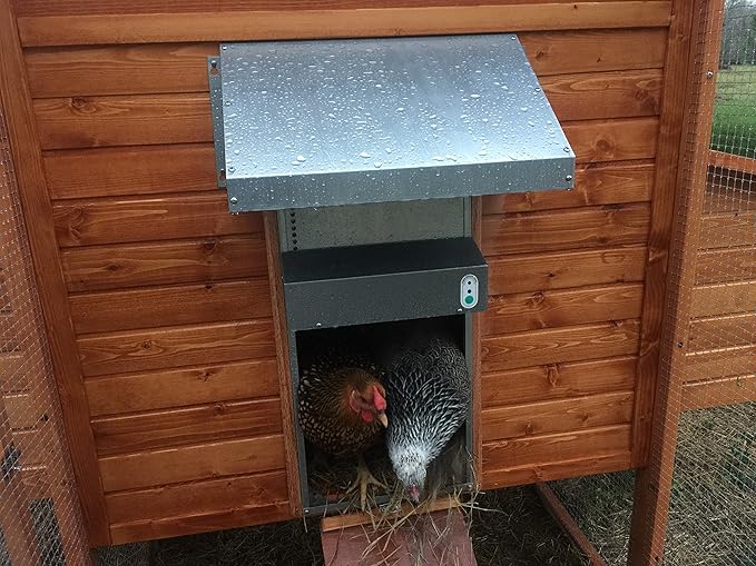 Automatic Chicken Coop Door, ADOR1 Made in USA